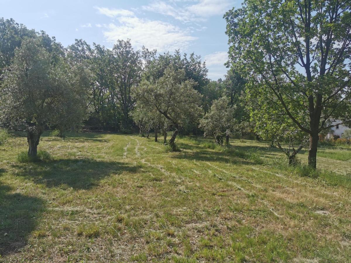 Вилла Domaine Geodora, Parfumeur En Provence Монтору Экстерьер фото