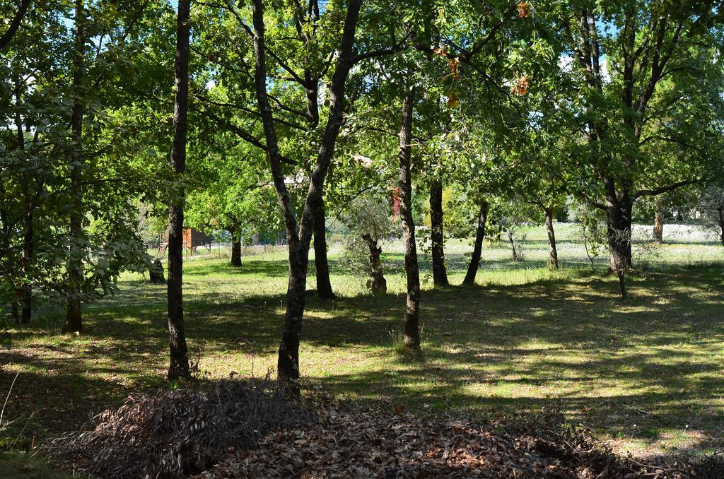 Вилла Domaine Geodora, Parfumeur En Provence Монтору Экстерьер фото