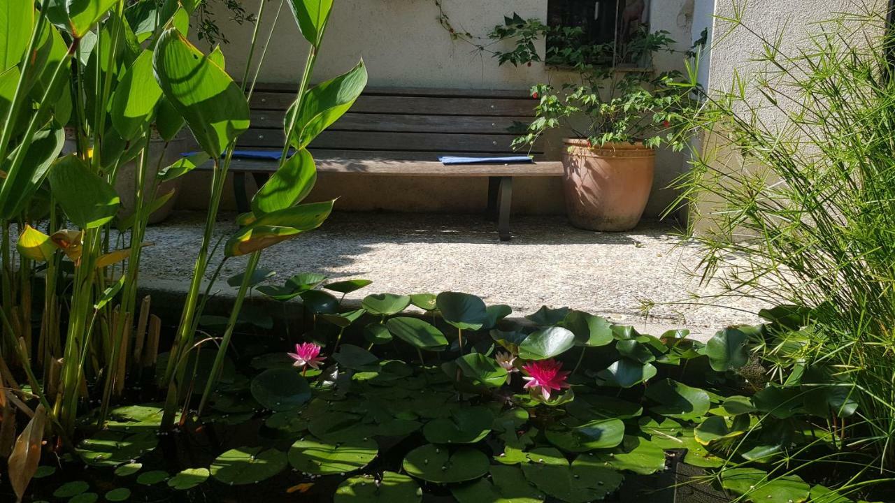Вилла Domaine Geodora, Parfumeur En Provence Монтору Экстерьер фото